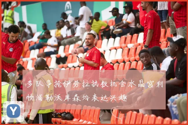 多队争抢伊劳拉执教机会水晶宫利物浦勒沃库森均表达兴趣