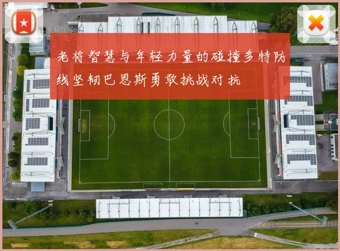 老将智慧与年轻力量的碰撞多特防线坚韧巴恩斯勇敢挑战对抗
